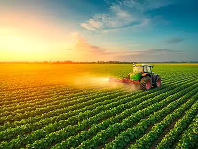 Agriculture
